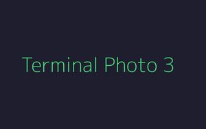 Terminal-style wide photo with green text