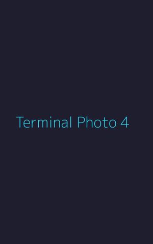 Terminal-style tall photo with cyan text