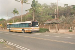 Yellow and white city bus in motion passing a covered wooden bus shelter on a coastal highway, tall palm trees and green hillside with utility poles in the background