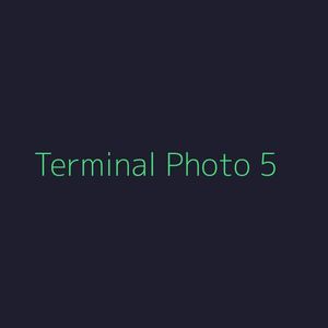 Terminal-style square-ish photo with green text