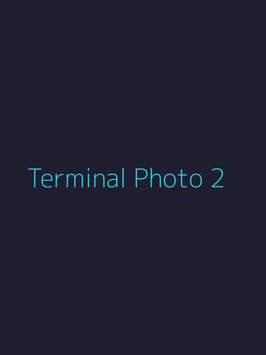 Terminal-style photo showing cyan text on dark background