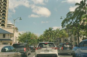 Traffic stopped on a palm-lined Waikiki street in Honolulu, cars under red lights with Louis Vuitton storefront and ornate high-rise on the left, bright blue sky and tall palm canopy