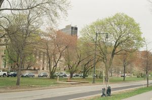 Early spring street with young trees showing light green and reddish buds, grassy median with staked saplings, parked cars and a stone institutional building with a modern glass tower behind