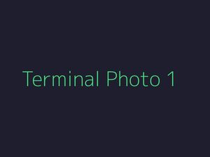 Terminal-style photo showing green text on dark background